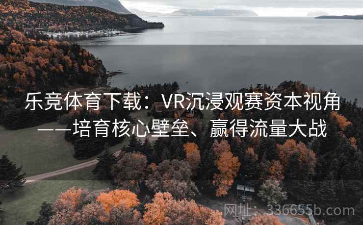 乐竞体育下载：VR沉浸观赛资本视角——培育核心壁垒、赢得流量大战