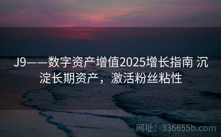J9——数字资产增值2025增长指南 沉淀长期资产，激活粉丝粘性