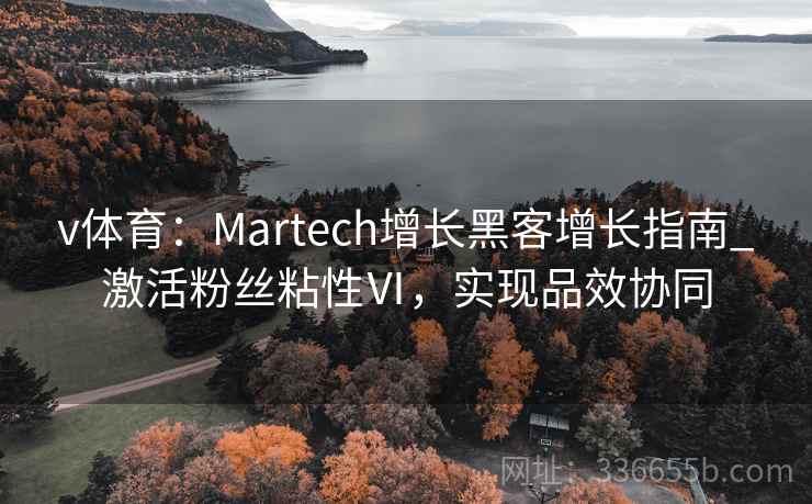 v体育:Martech增长黑客增长指南_激活粉丝粘性Ⅵ,实现品效协同 v体育:Martech增长黑客增长指南_激活粉丝粘性Ⅵ,实现品效协同
